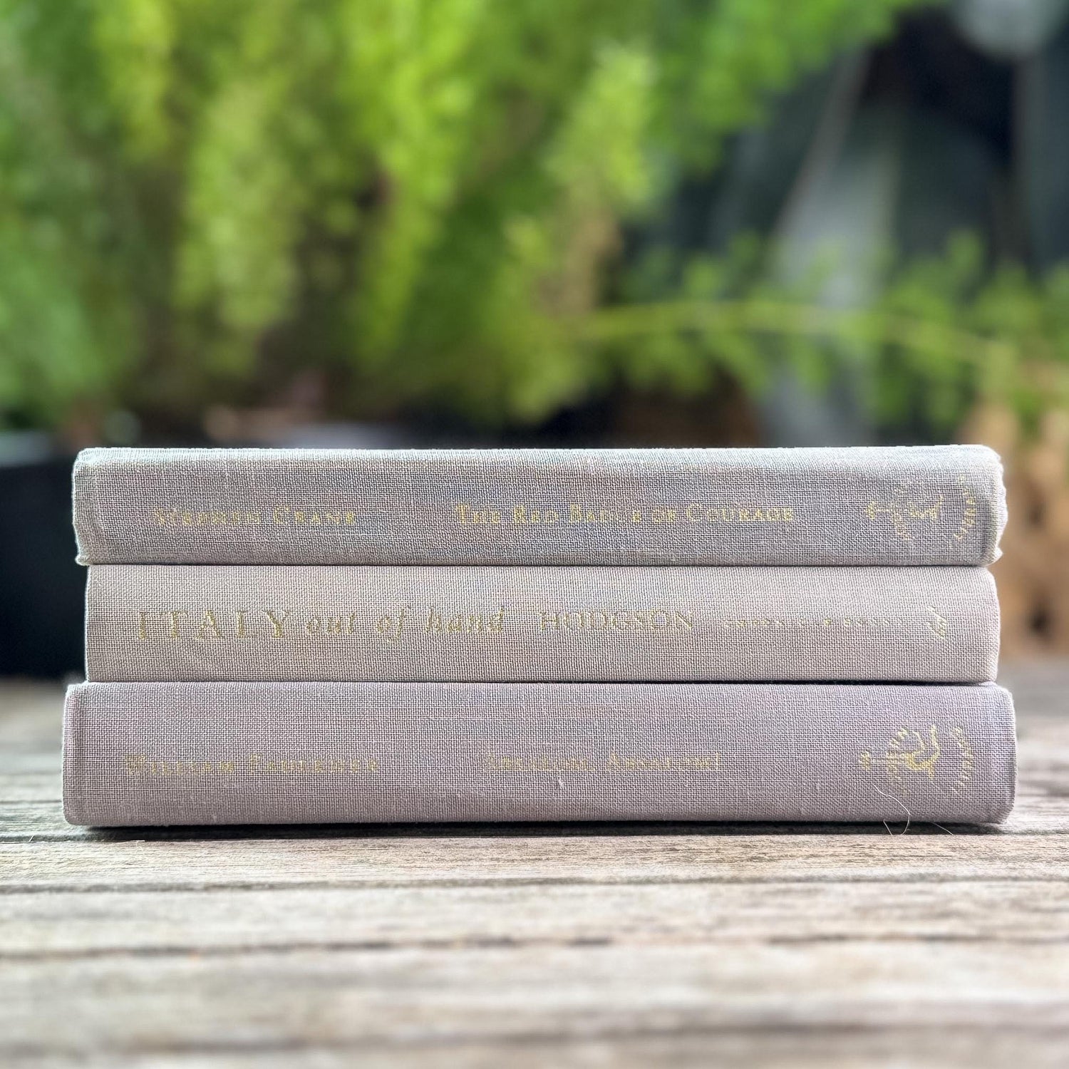 Minimalist Gray Small Vintage Book Bundle - Pretty Old Books