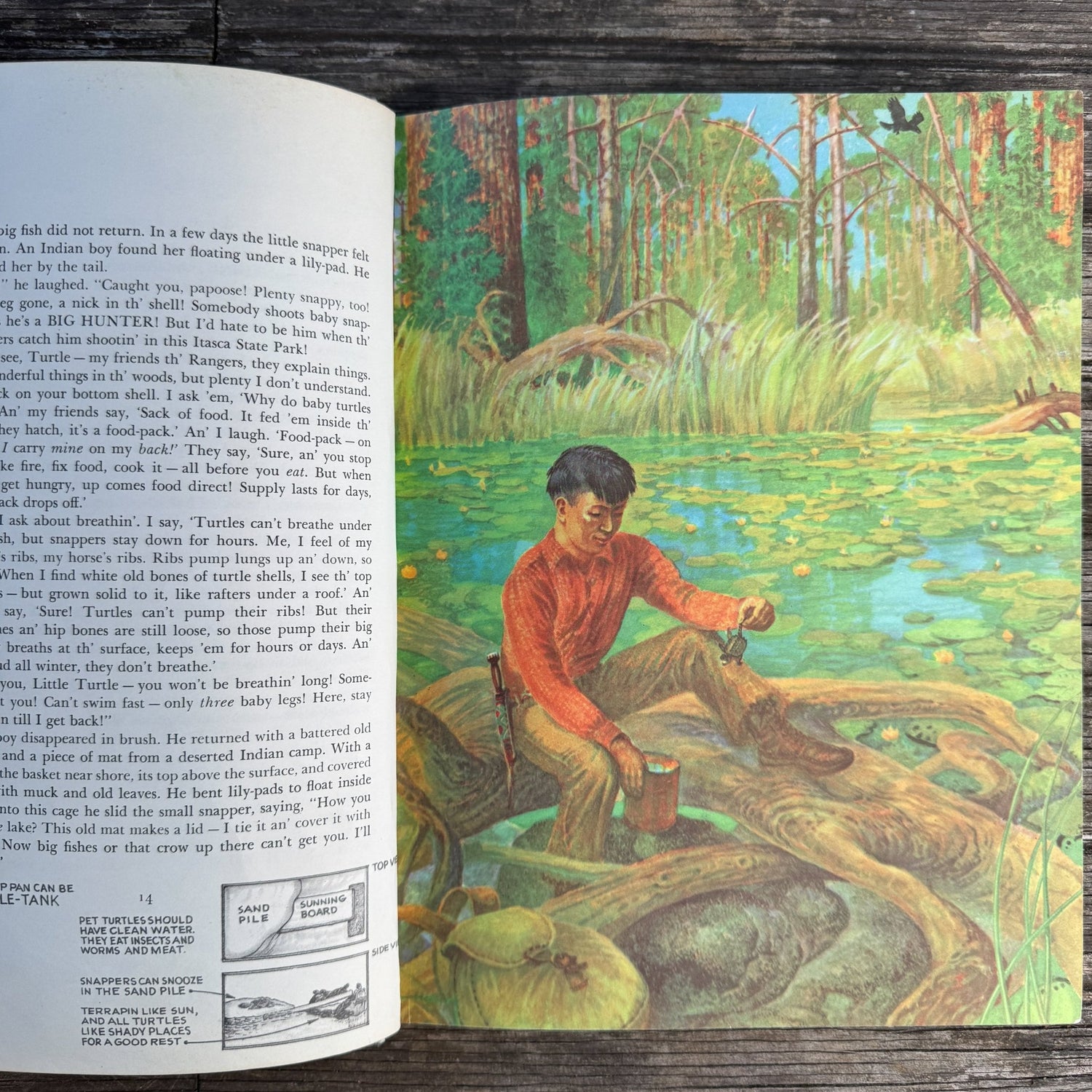 Minn of the Mississippi by Holling Clancy Holling, 1951, 3rd Printing - Pretty Old Books