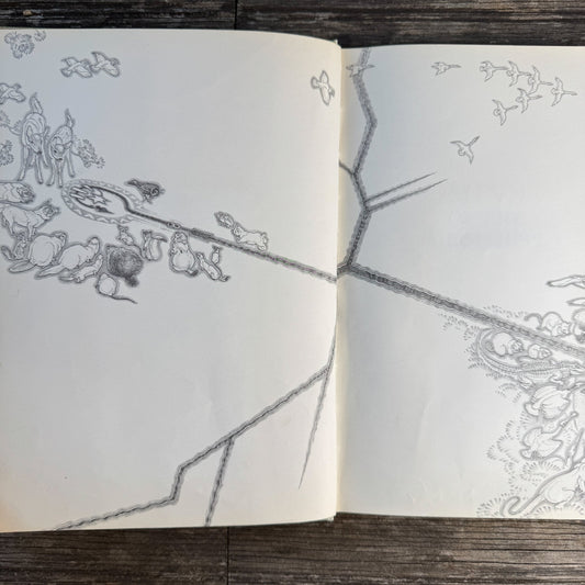 Minn of the Mississippi by Holling Clancy Holling, 1951, 3rd Printing - Pretty Old Books