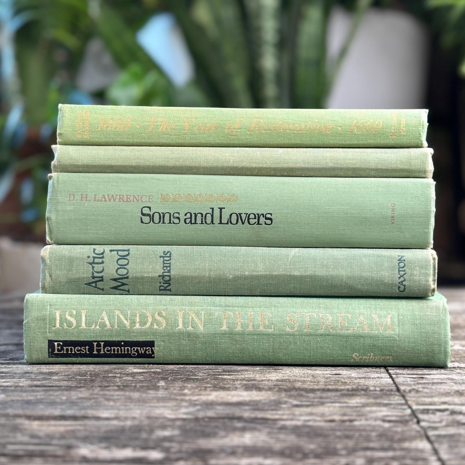 Mint and Sage Green Decorative Books for Bookshelf Decor - Pretty Old Books