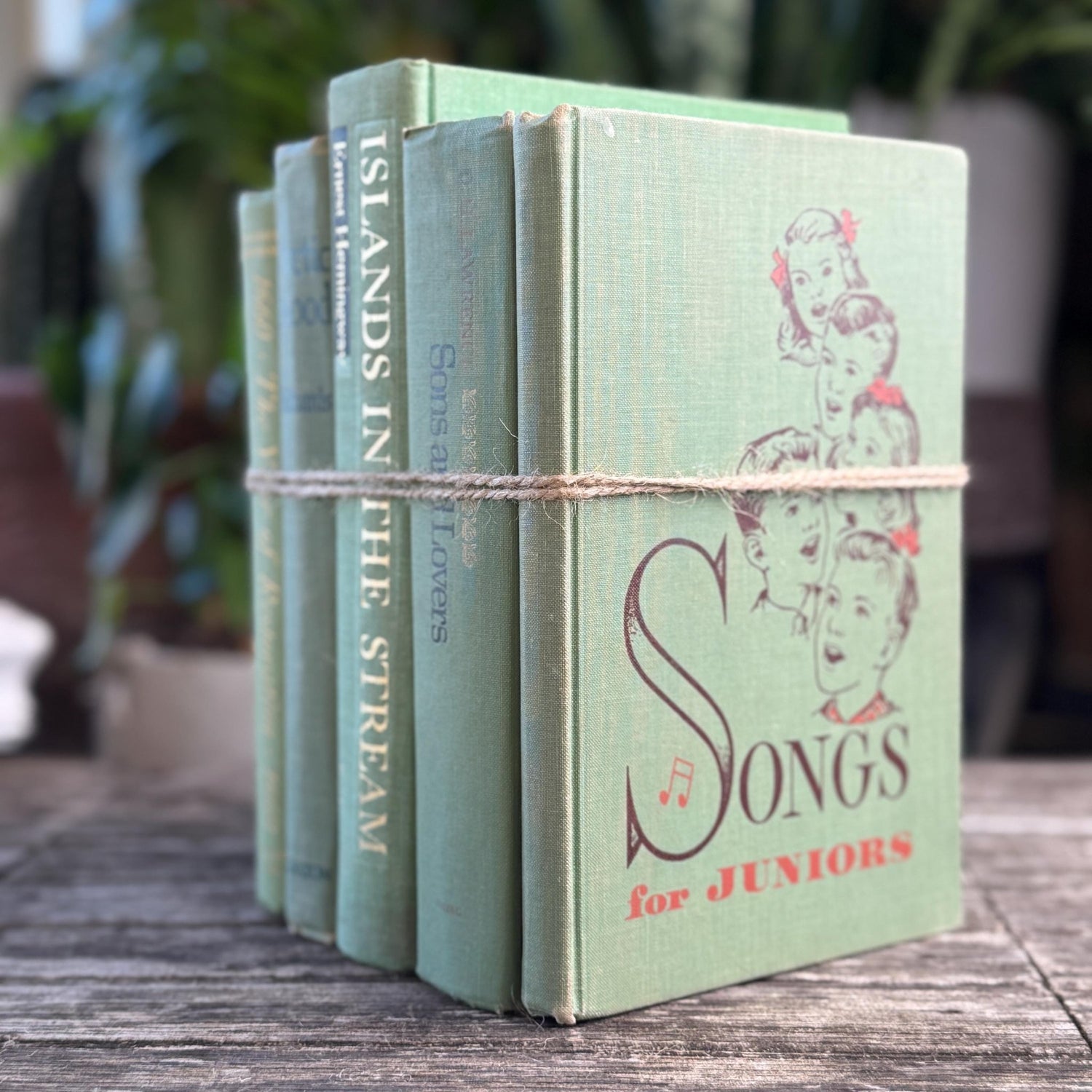 Mint and Sage Green Decorative Books for Bookshelf Decor - Pretty Old Books