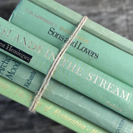 Mint and Sage Green Decorative Books for Bookshelf Decor - Pretty Old Books