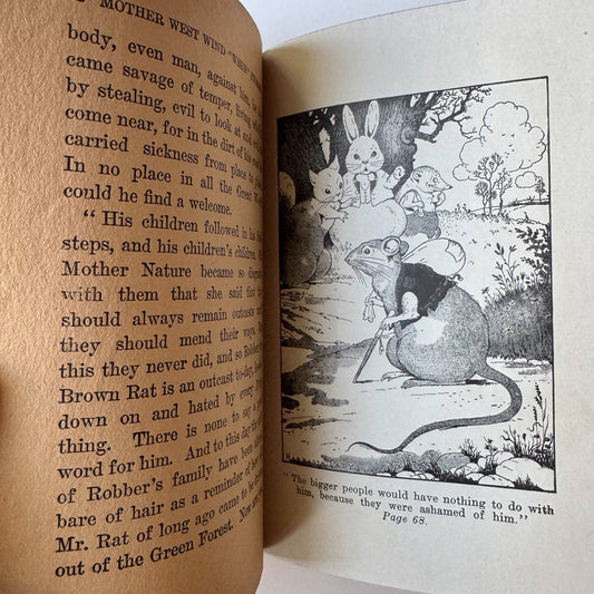 Mother West Wind "When" Stories by Thornton W. Burgess (1917) - Pretty Old Books