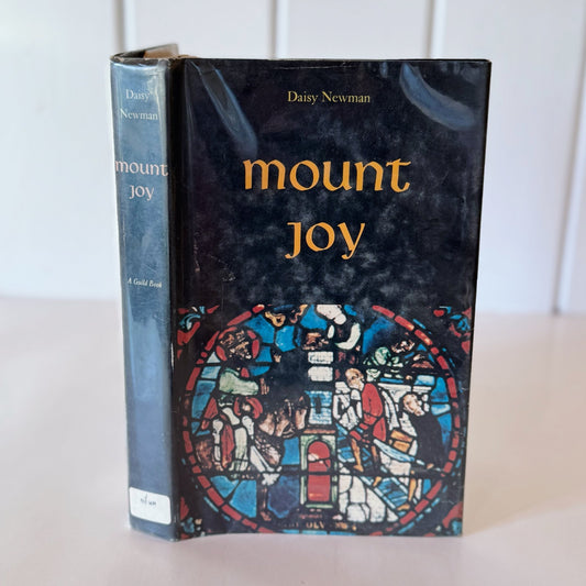 Mount Joy, Young Adult Coming of Age Novel, Daisy Newman, 1968 First Edition - Pretty Old Books