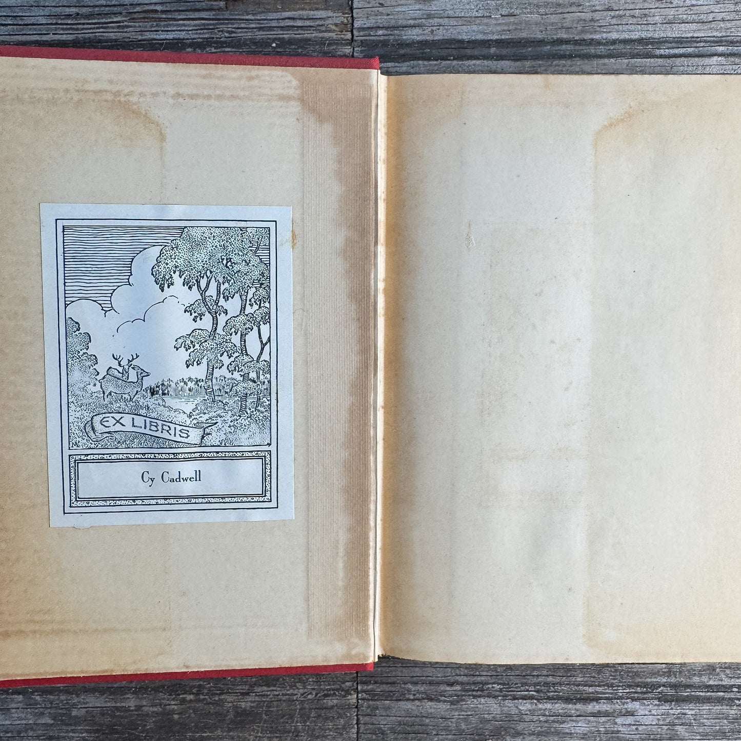 Mr. Skeffington, Elizabeth von Arnim, 1940 - Pretty Old Books