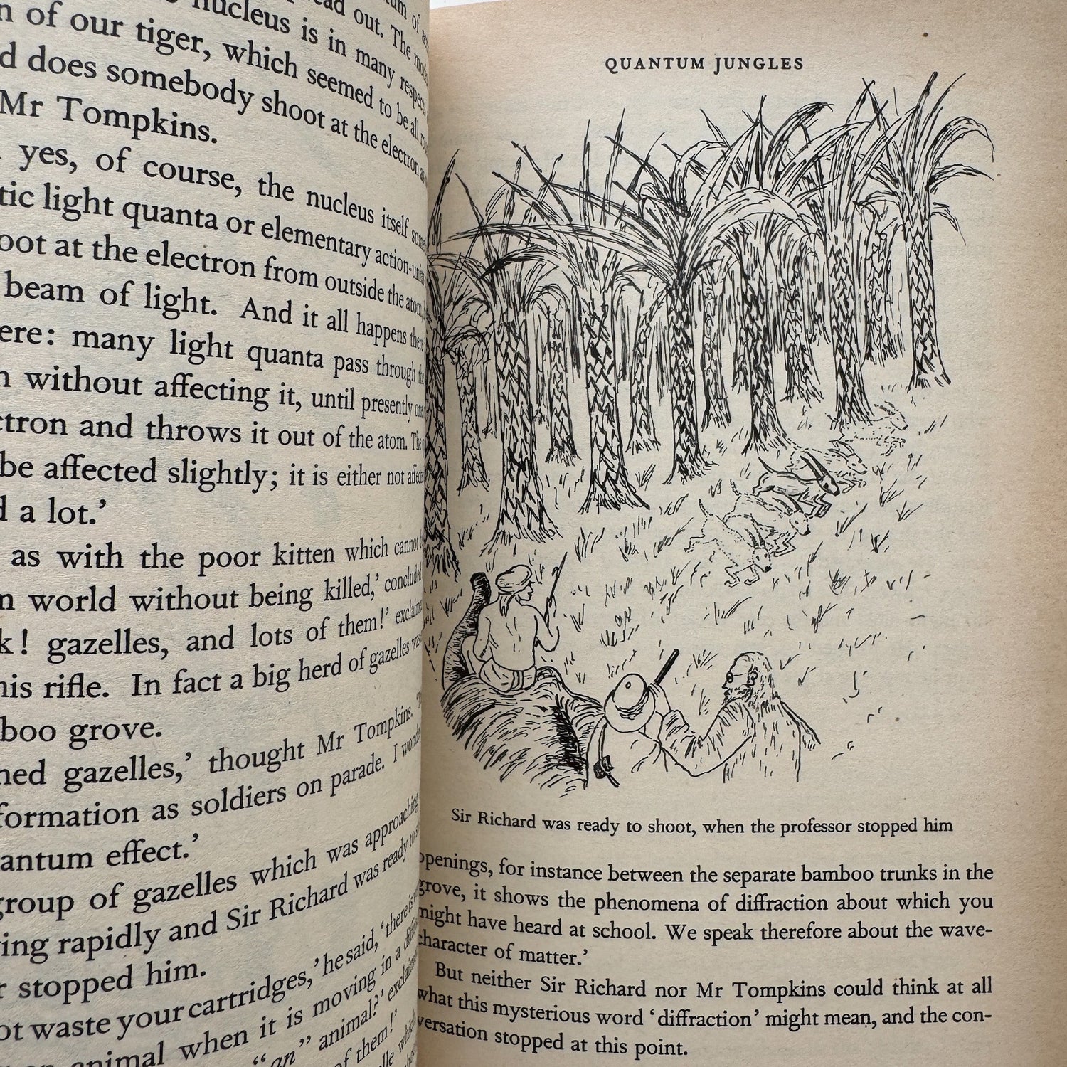 Mr. Tompkins in Paperback, George Gamow, 1965, Paperback - Pretty Old Books