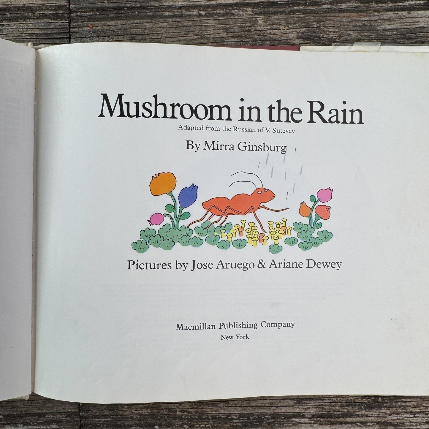 Mushroom in the Rain, Mirra Ginsburg, 1974 - Pretty Old Books