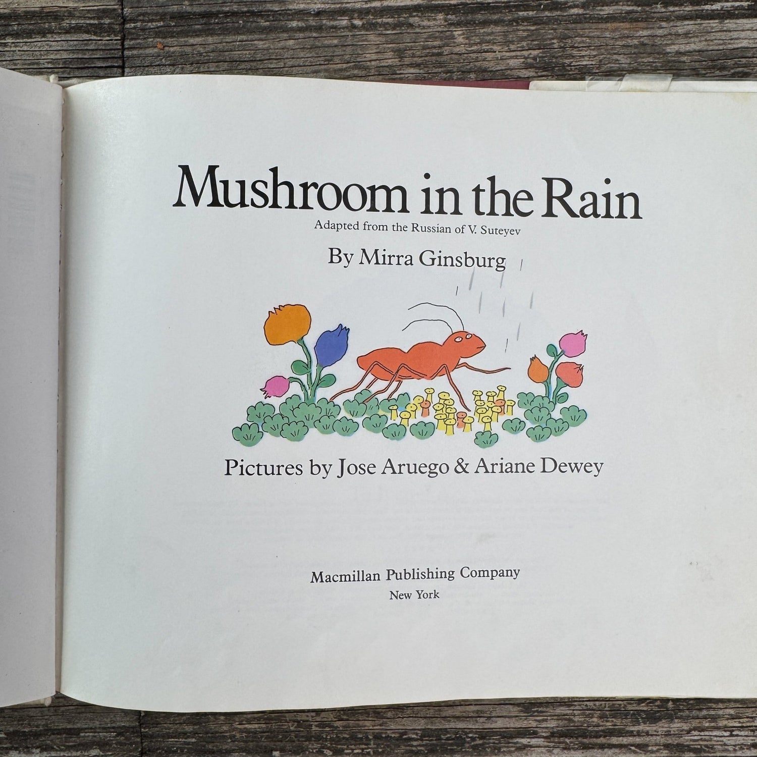 Mushroom in the Rain, Mirra Ginsburg, 1974 - Pretty Old Books