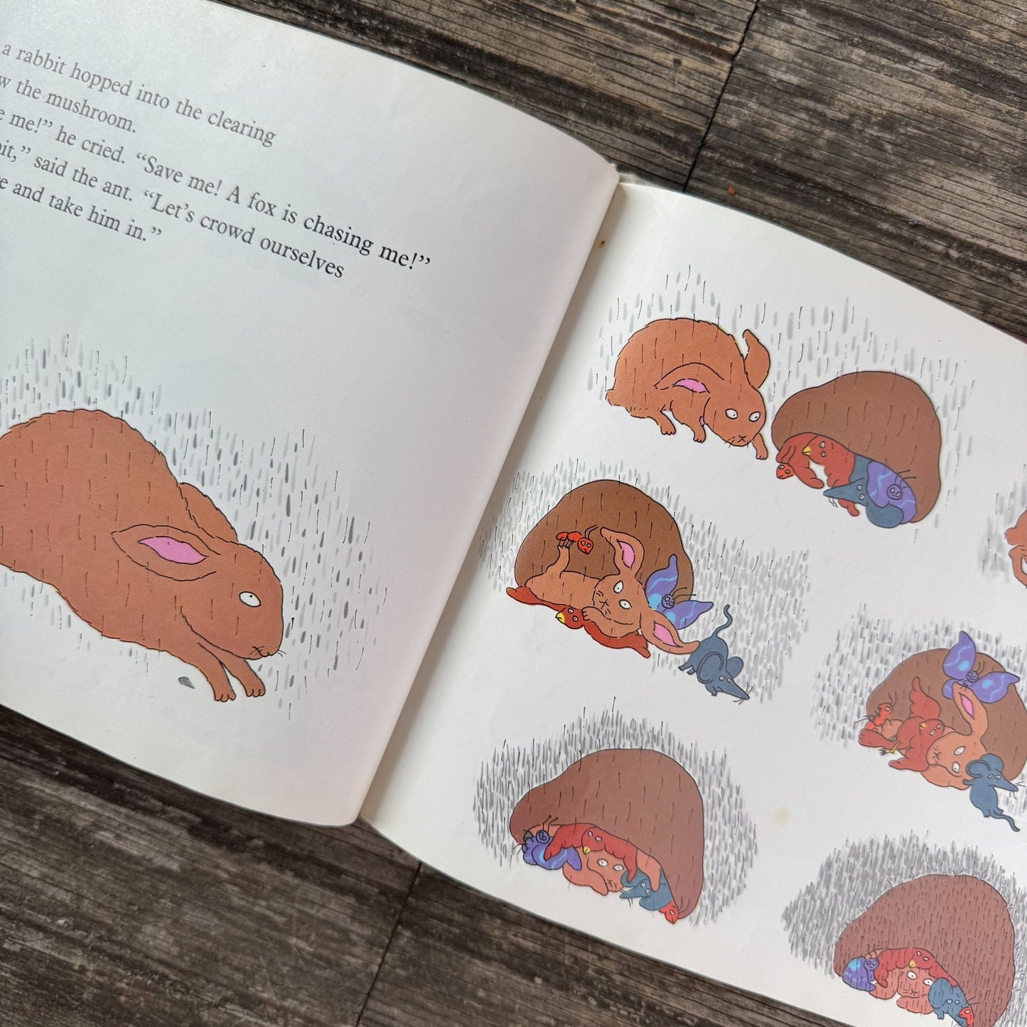 Mushroom in the Rain, Mirra Ginsburg, 1974 - Pretty Old Books