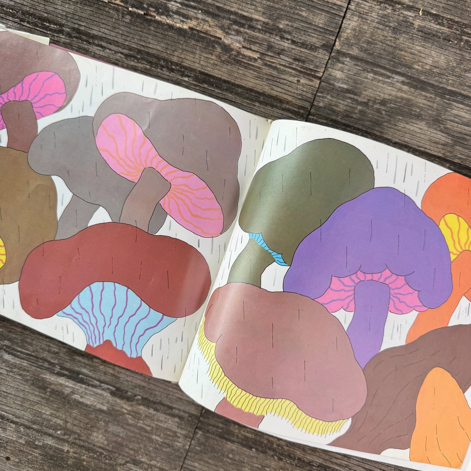 Mushroom in the Rain, Mirra Ginsburg, 1974 - Pretty Old Books