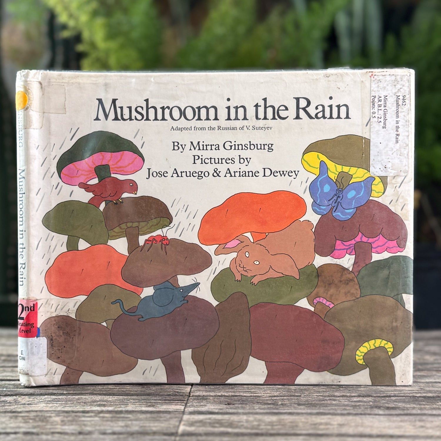 Mushroom in the Rain, Mirra Ginsburg, 1974 - Pretty Old Books
