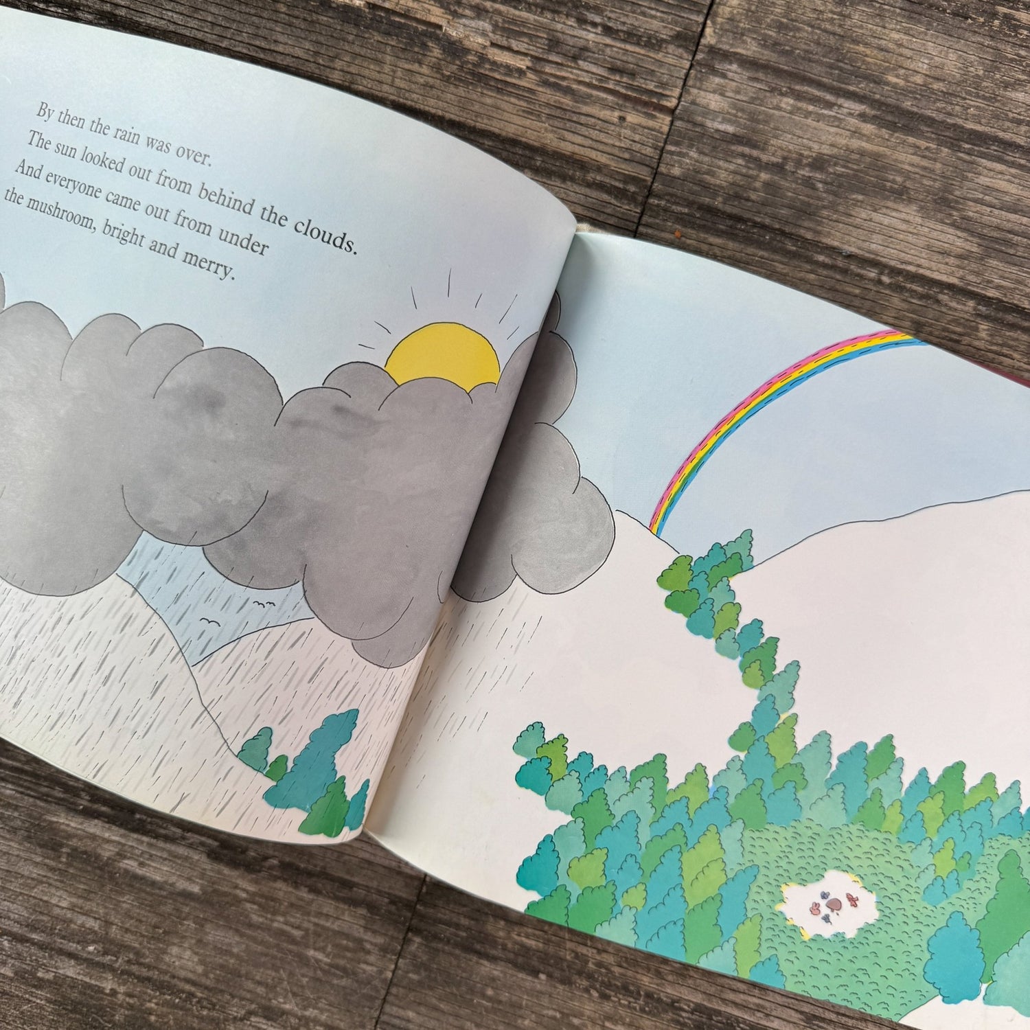 Mushroom in the Rain, Mirra Ginsburg, 1974 - Pretty Old Books
