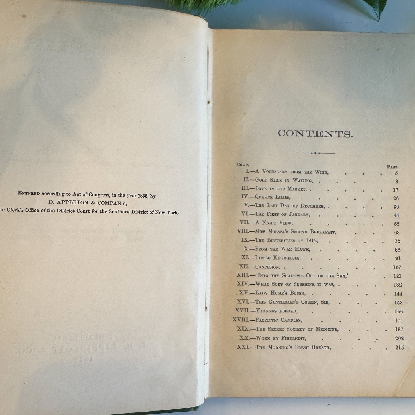 My Brother’s Keeper, A.B. Warner, J.B. Lippincott, 1872 - Pretty Old Books