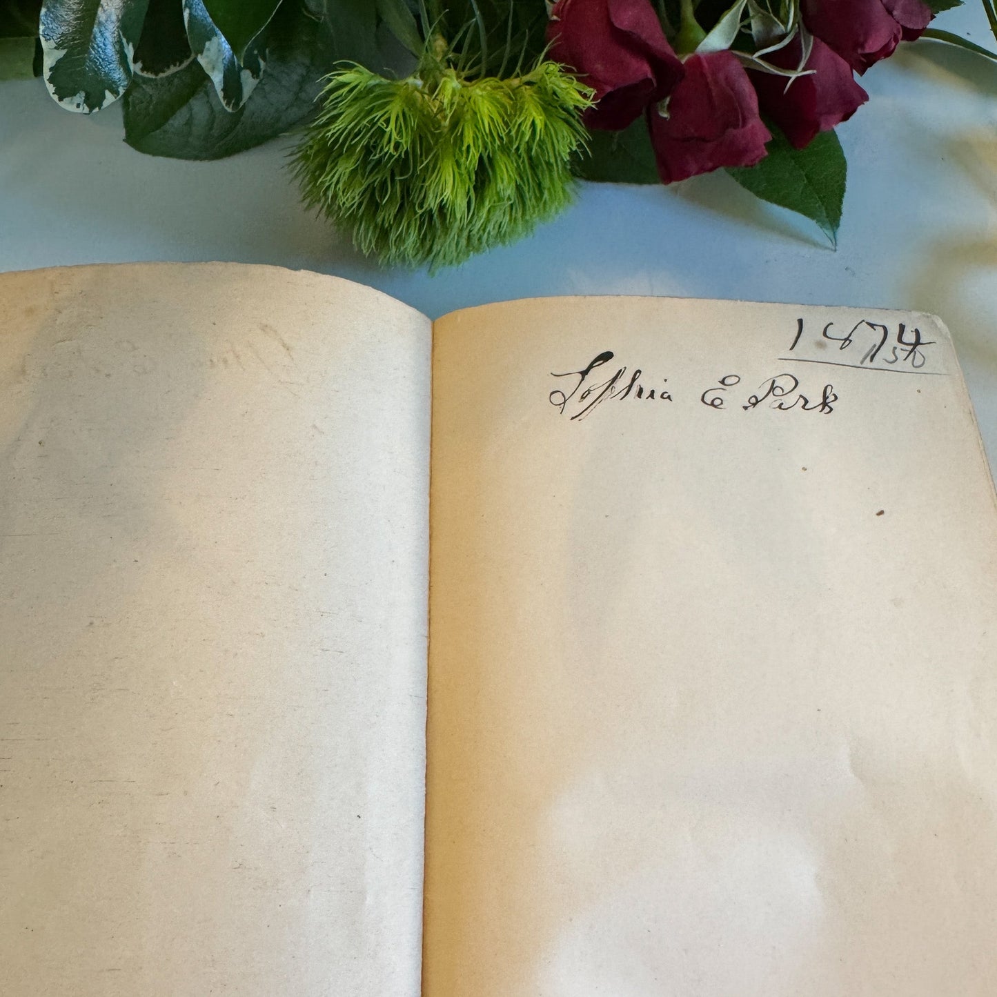 My Brother’s Keeper, A.B. Warner, J.B. Lippincott, 1872 - Pretty Old Books