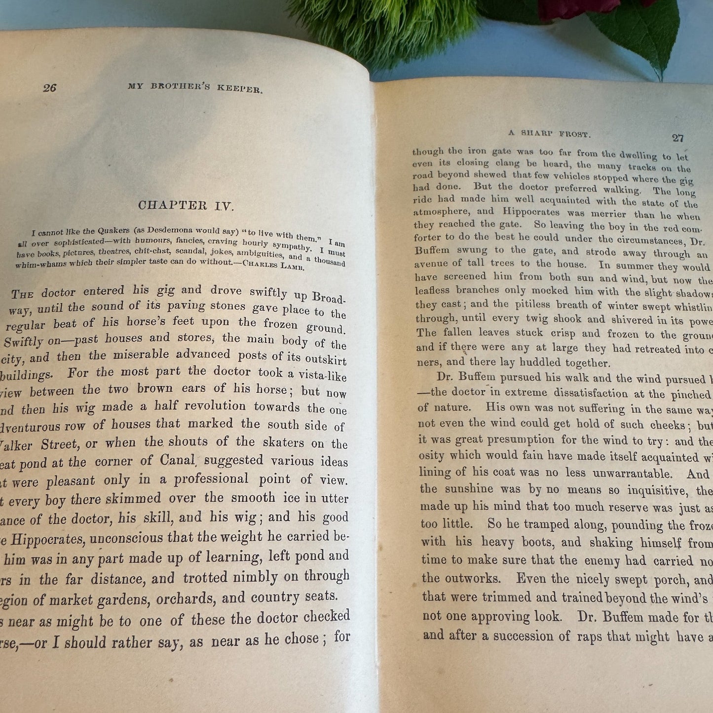 My Brother’s Keeper, A.B. Warner, J.B. Lippincott, 1872 - Pretty Old Books