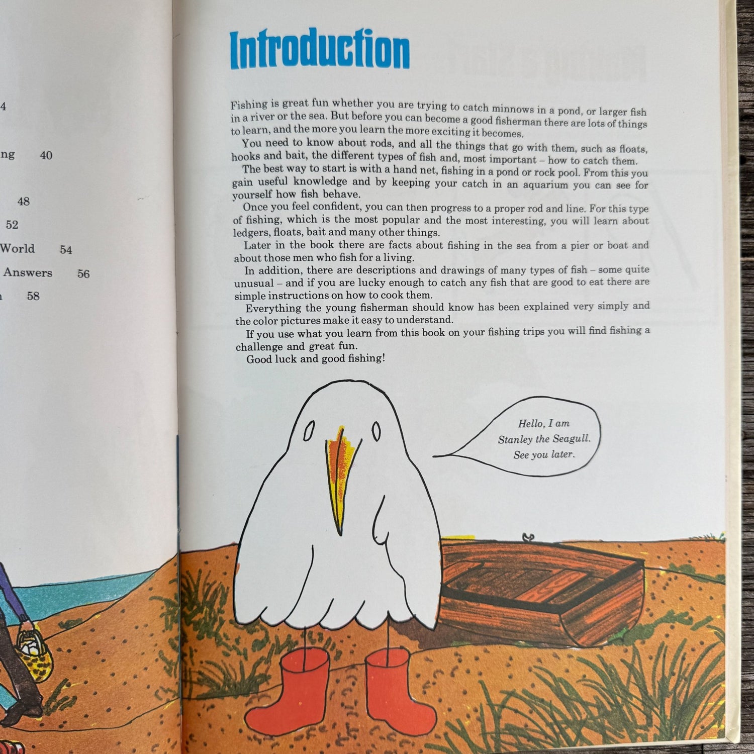 My Learn to Fish Book by Ken Denham, 1971 - Pretty Old Books