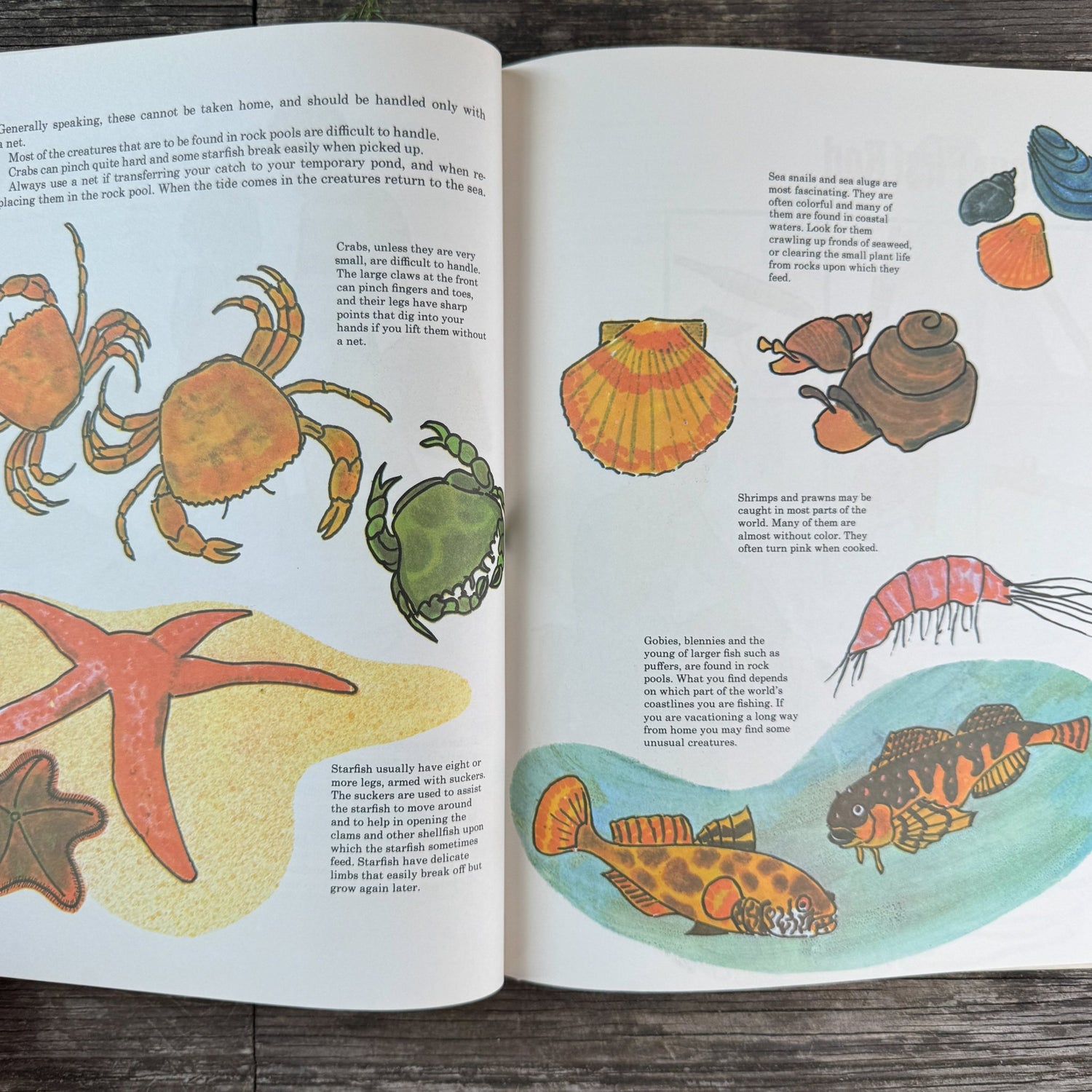 My Learn to Fish Book by Ken Denham, 1971 - Pretty Old Books