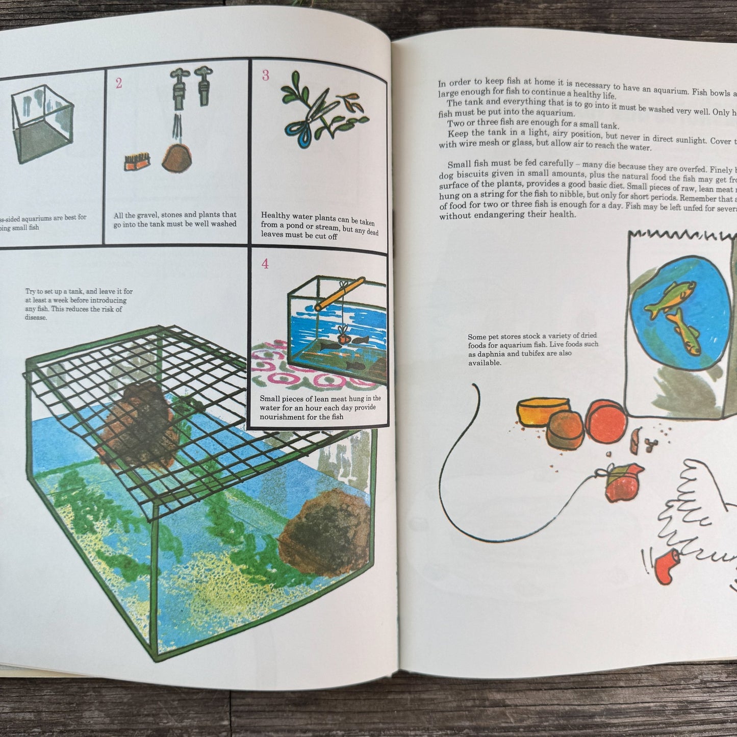 My Learn to Fish Book by Ken Denham, 1971 - Pretty Old Books