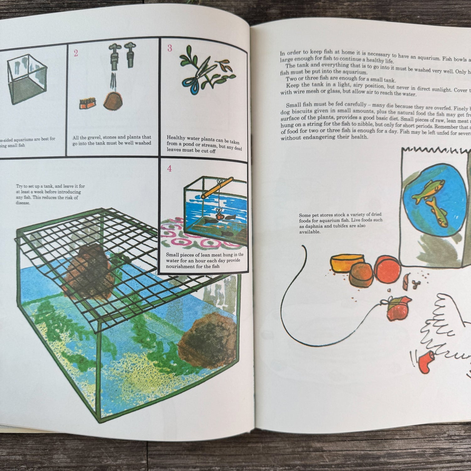 My Learn to Fish Book by Ken Denham, 1971 - Pretty Old Books