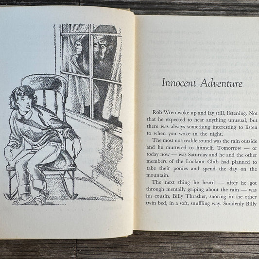 Mystery at the Weird Ruins, Govan and West, 1964 Juvenile Mystery - Pretty Old Books