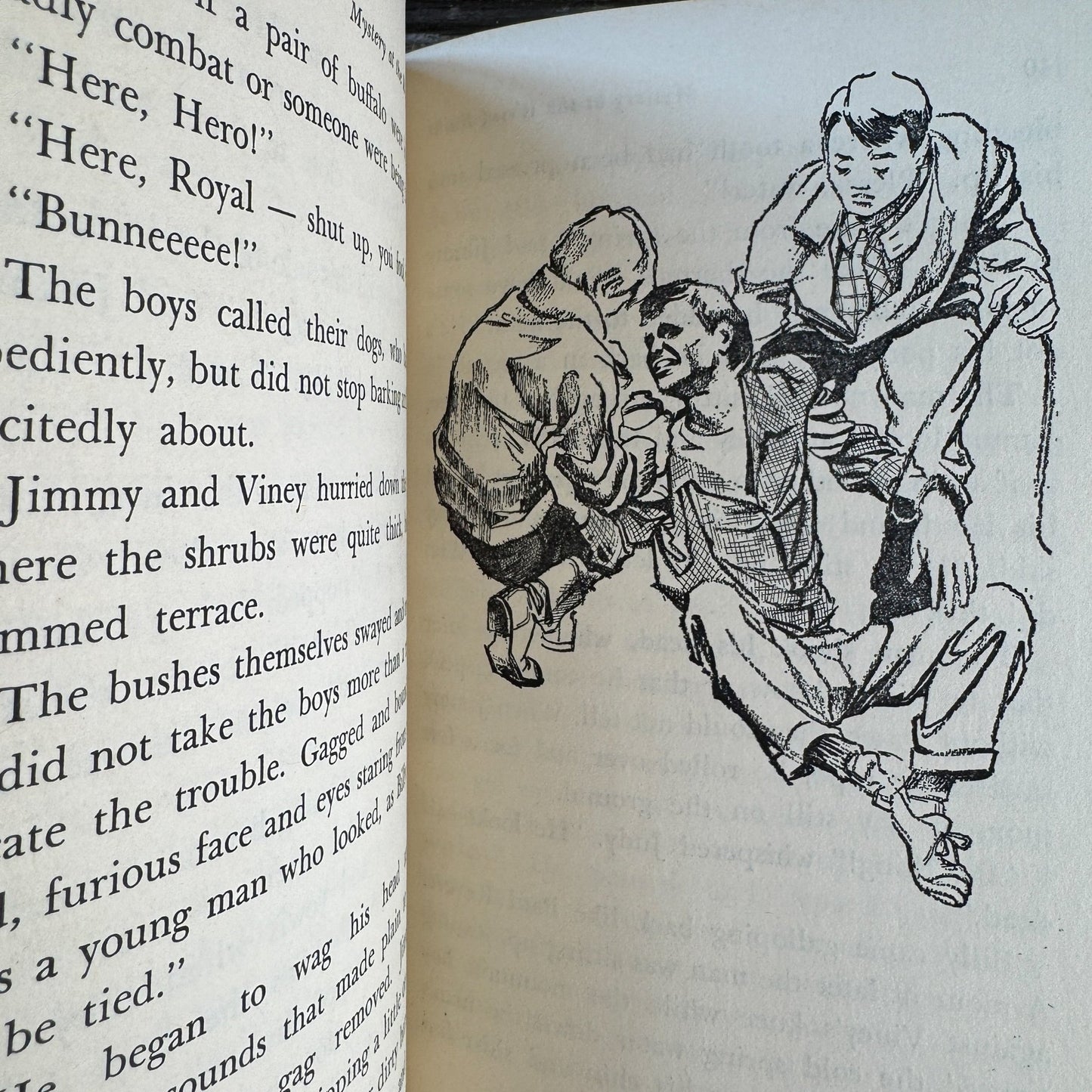 Mystery at the Weird Ruins, Govan and West, 1964 Juvenile Mystery - Pretty Old Books