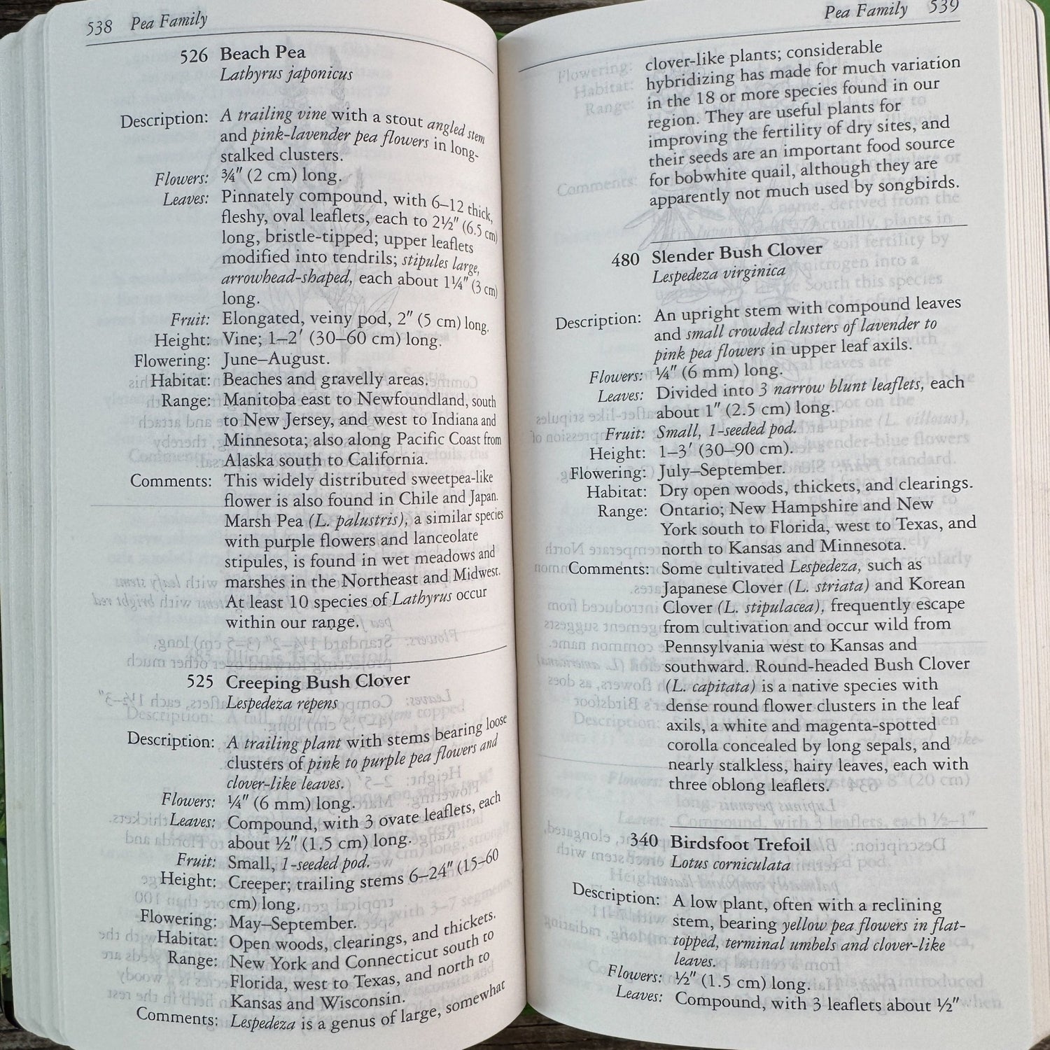 National Audubon Society Field Guide to North American Wildflowers, 2001 - Pretty Old Books