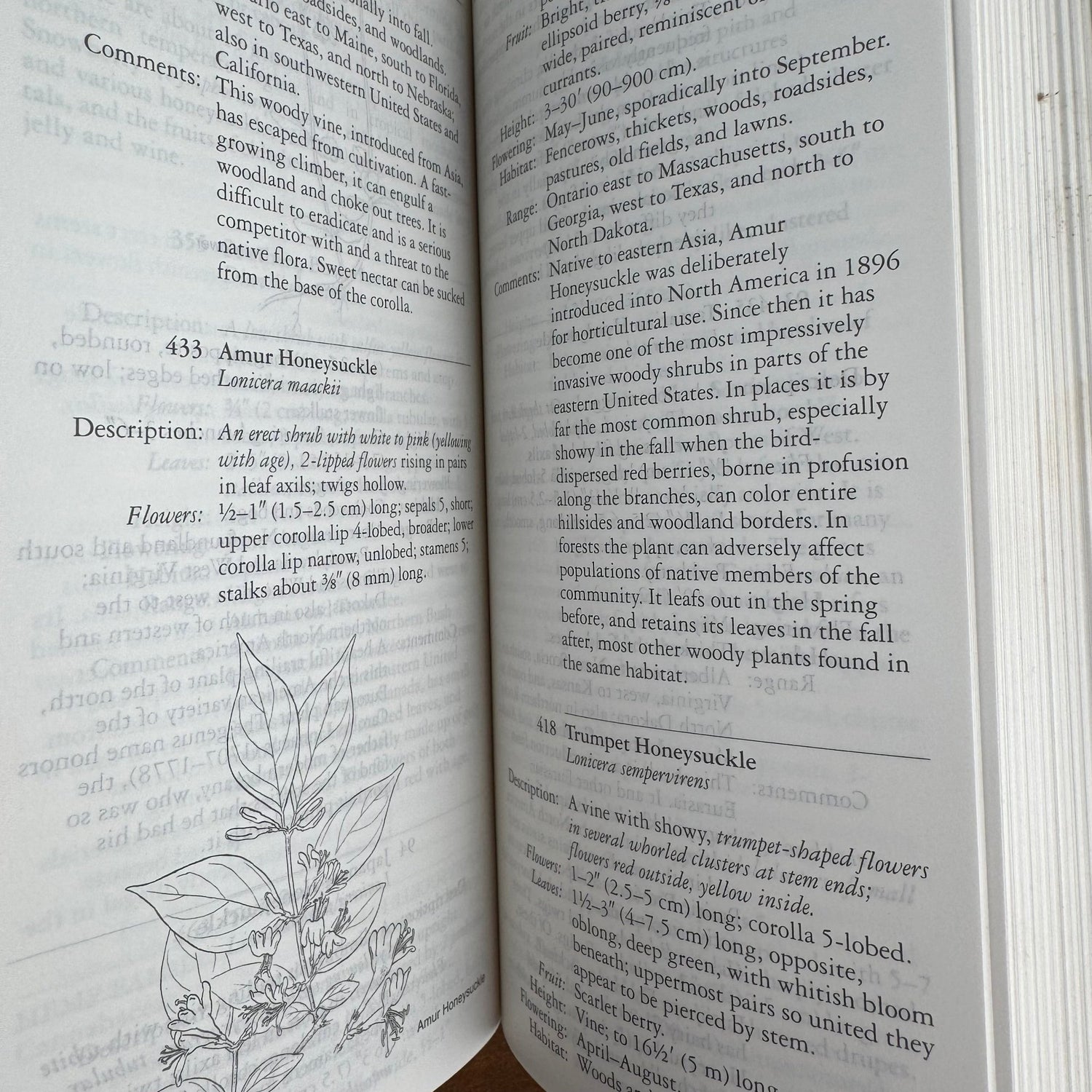 National Audubon Society Field Guide to Wildflowers of the Easter Region of North America - Pretty Old Books