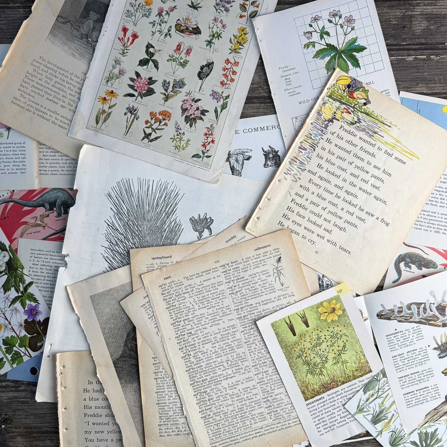 Nature-Themed Book Paperie for Crafting, Junk Journal Supplies, Antique and Vintage Paper Pack (Copy) - Pretty Old Books