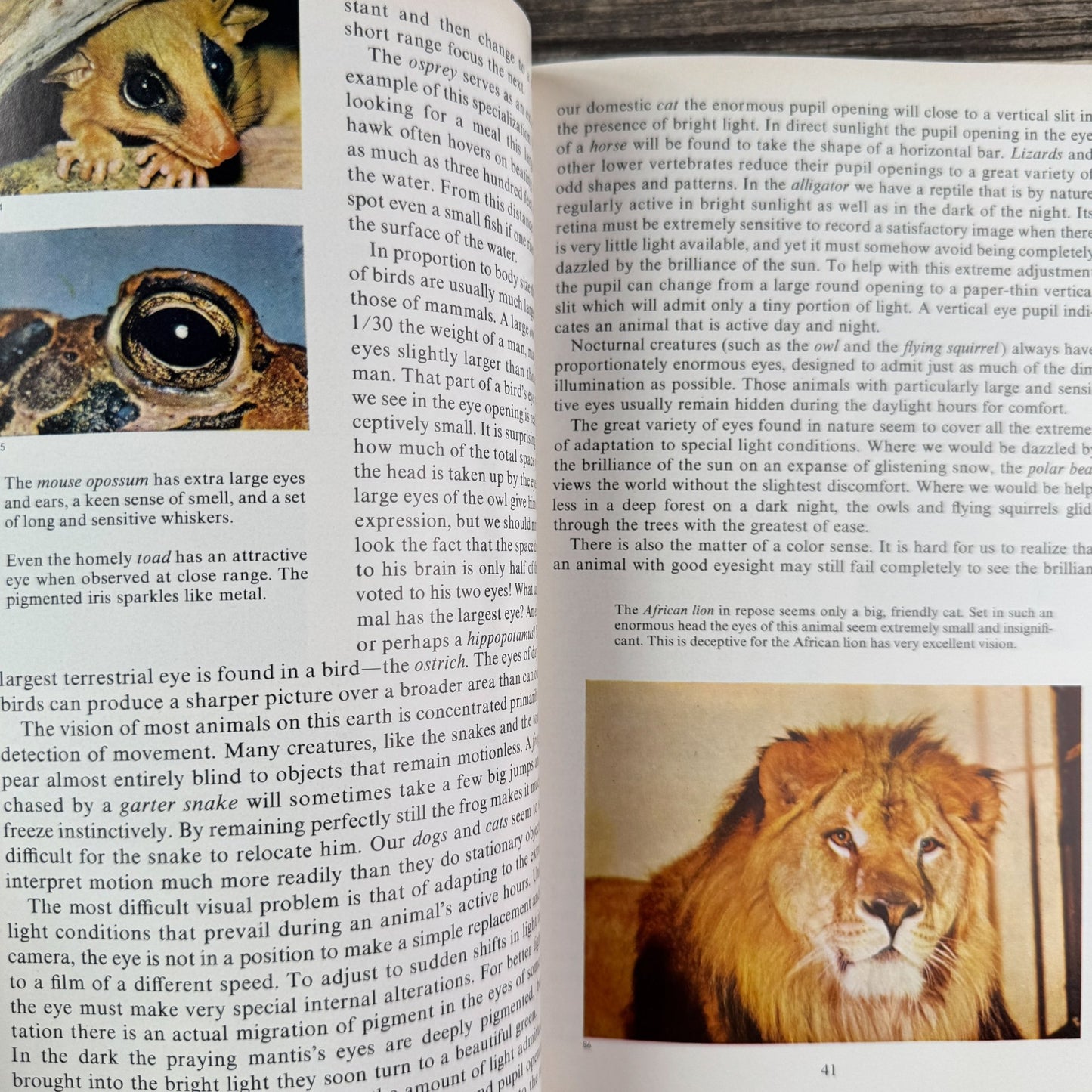 Nature’s Wonders in Full Color, Charles L. Sherman, 1956 - Pretty Old Books