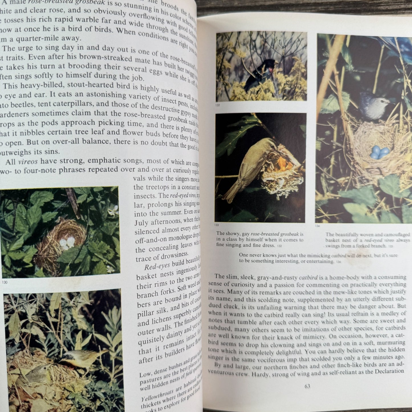 Nature’s Wonders in Full Color, Charles L. Sherman, 1956 - Pretty Old Books