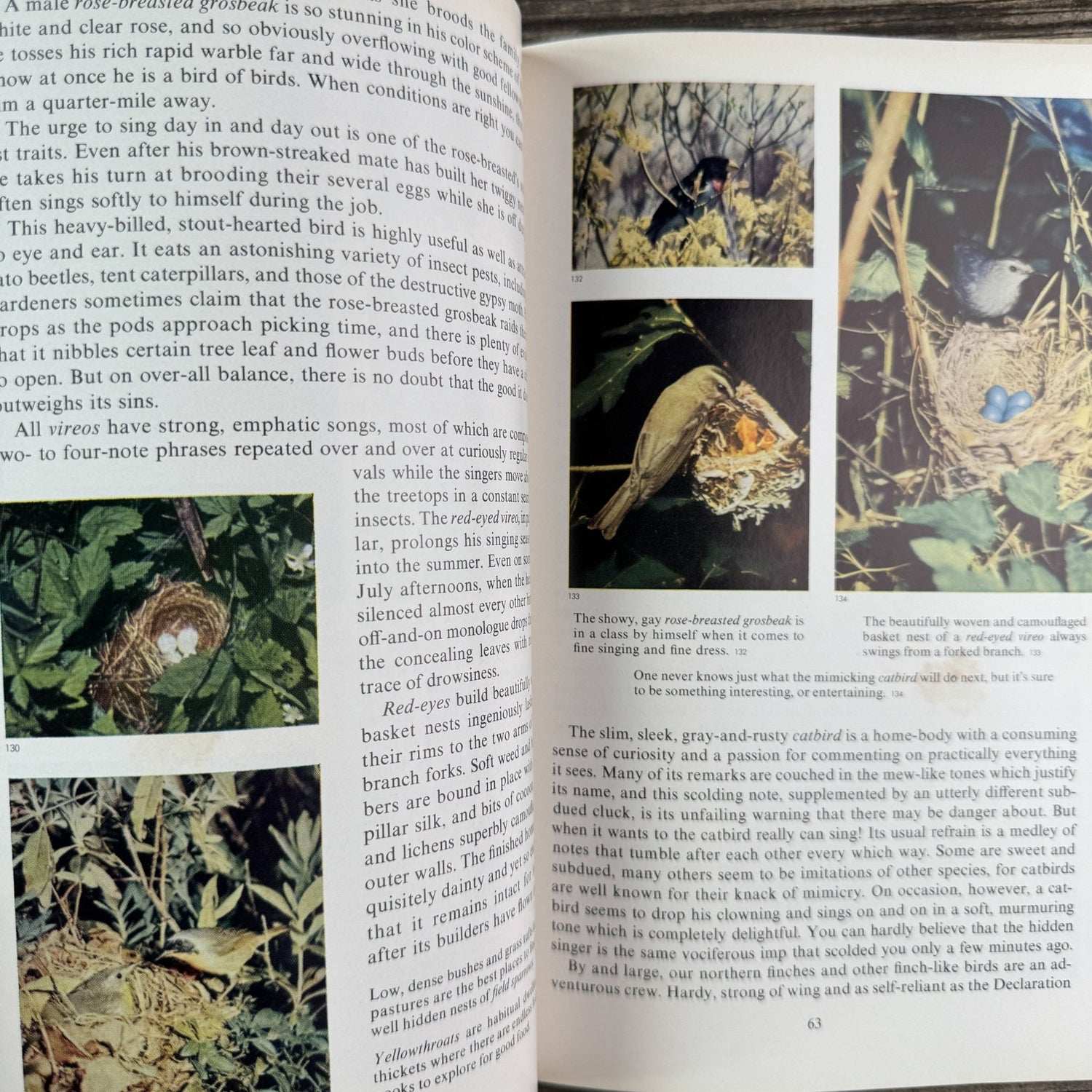 Nature’s Wonders in Full Color, Charles L. Sherman, 1956 - Pretty Old Books