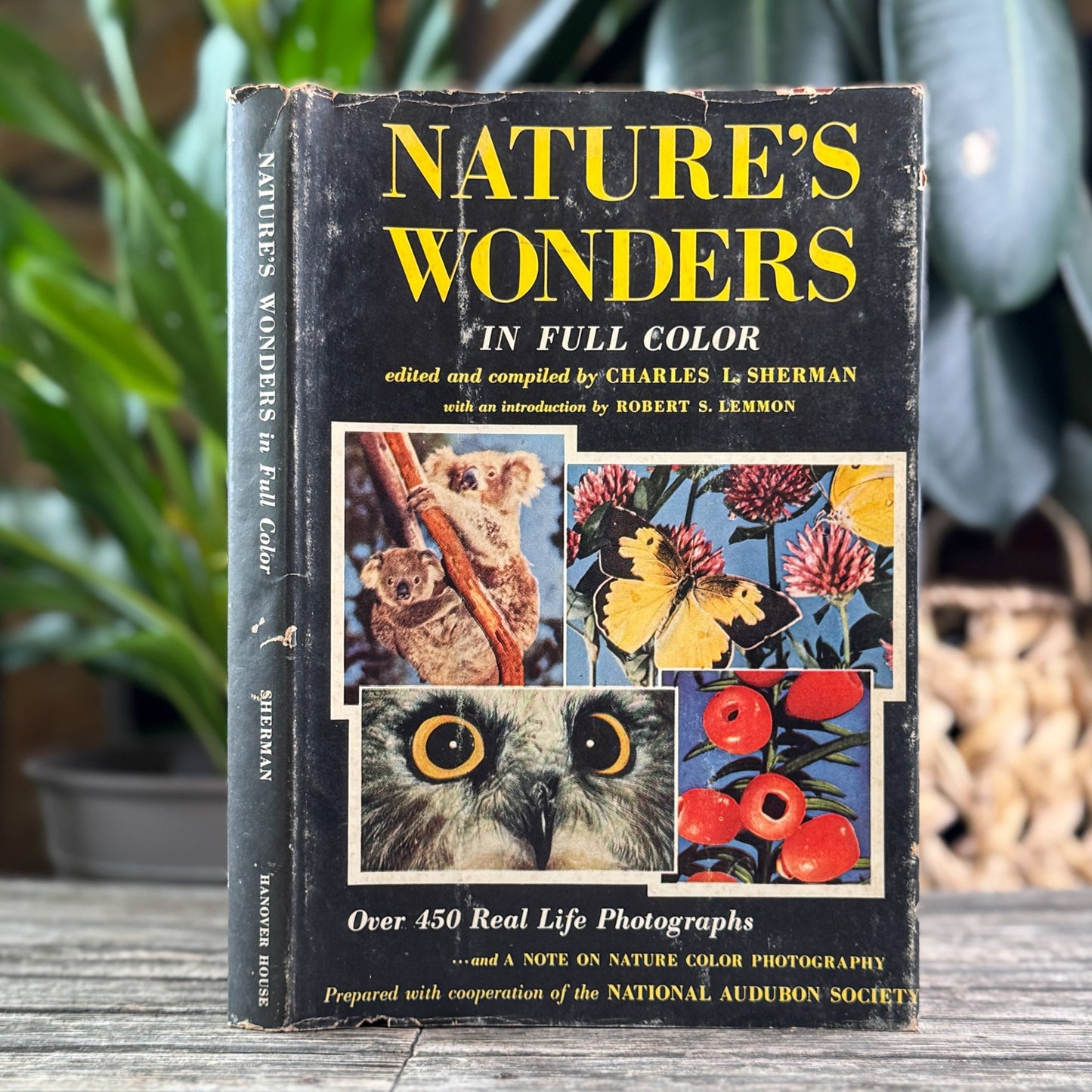 Nature’s Wonders in Full Color, Charles L. Sherman, 1956 - Pretty Old Books