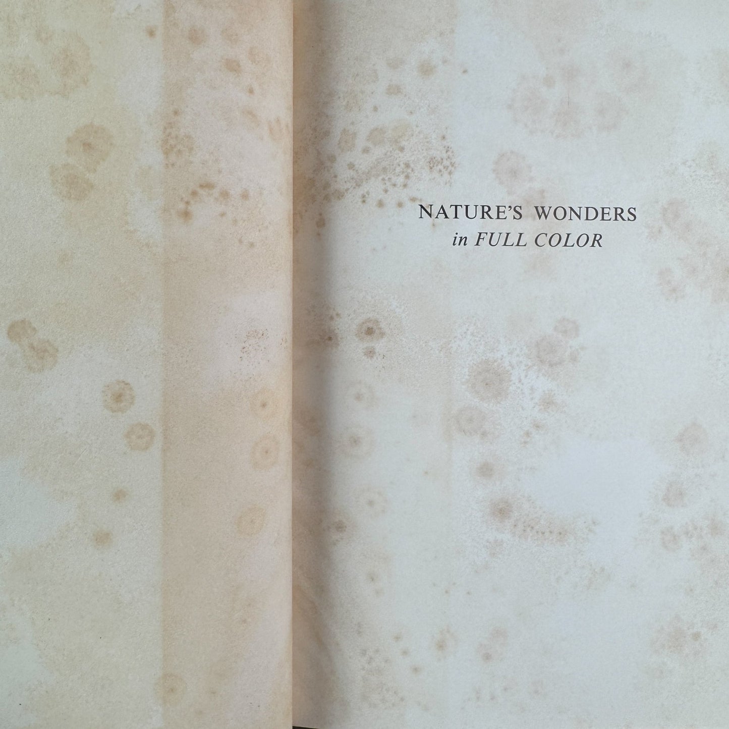 Nature’s Wonders in Full Color, Charles L. Sherman, 1956 - Pretty Old Books