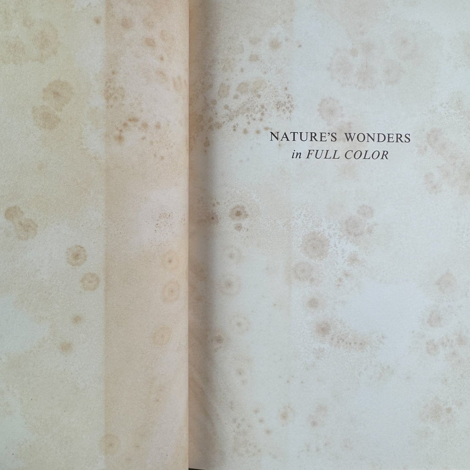 Nature’s Wonders in Full Color, Charles L. Sherman, 1956 - Pretty Old Books