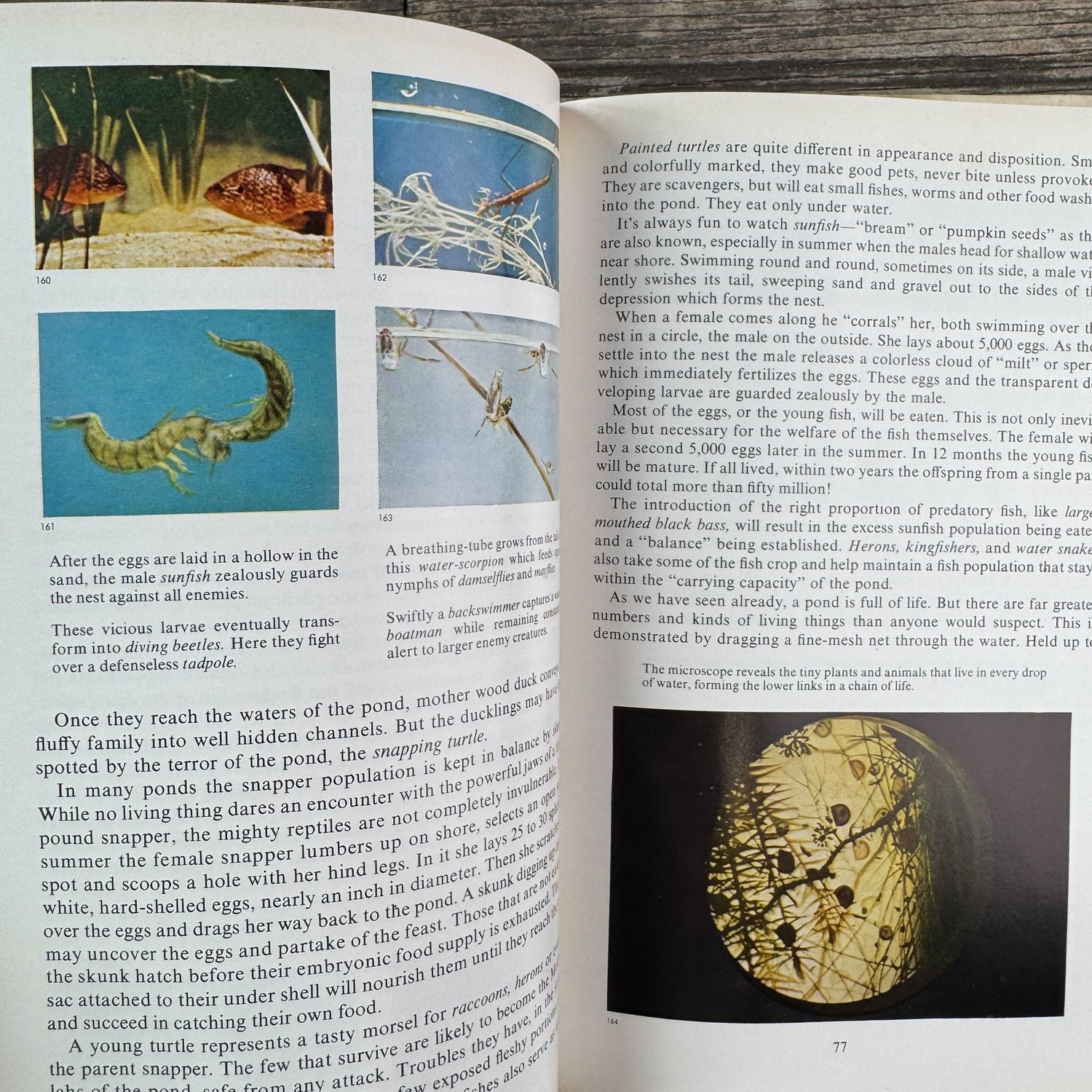 Nature’s Wonders in Full Color, Charles L. Sherman, 1956 - Pretty Old Books