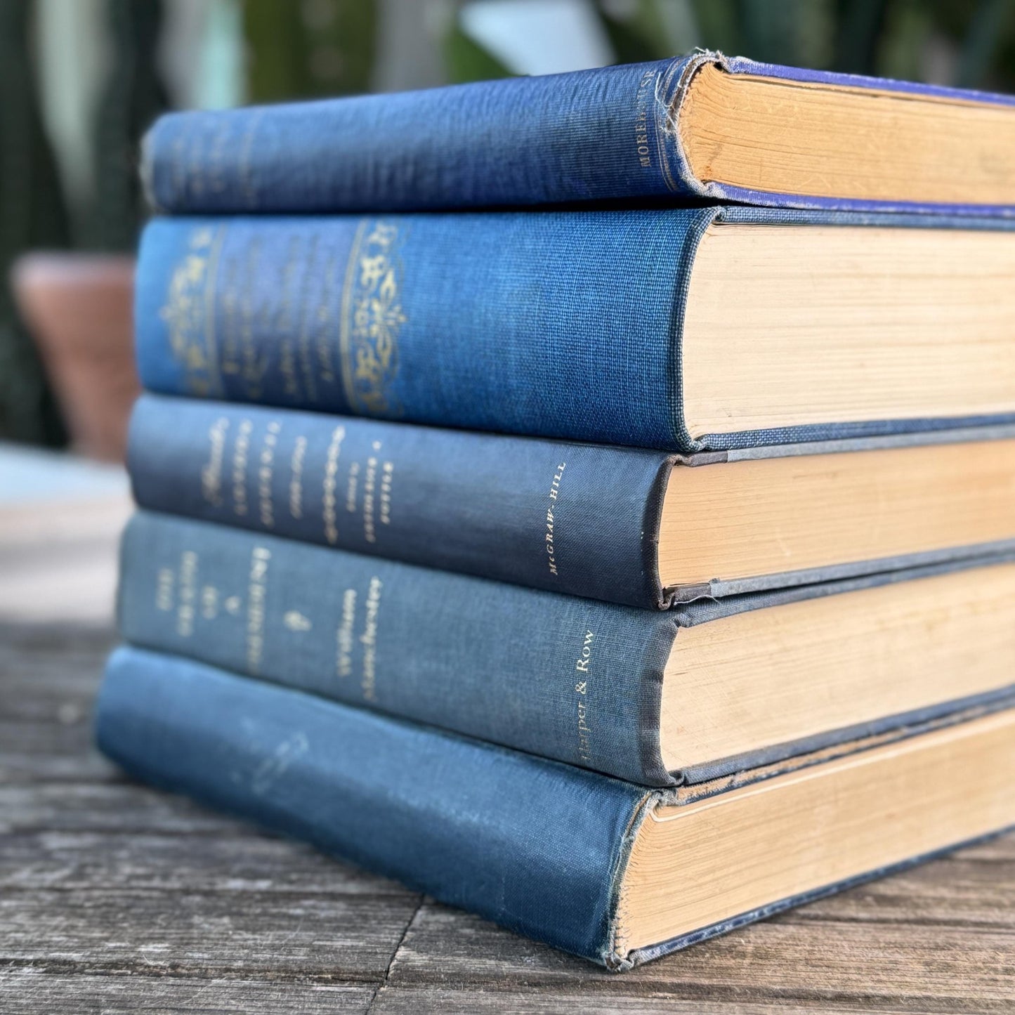 Navy and Indigo Blue Books for Shelf Styling - Pretty Old Books