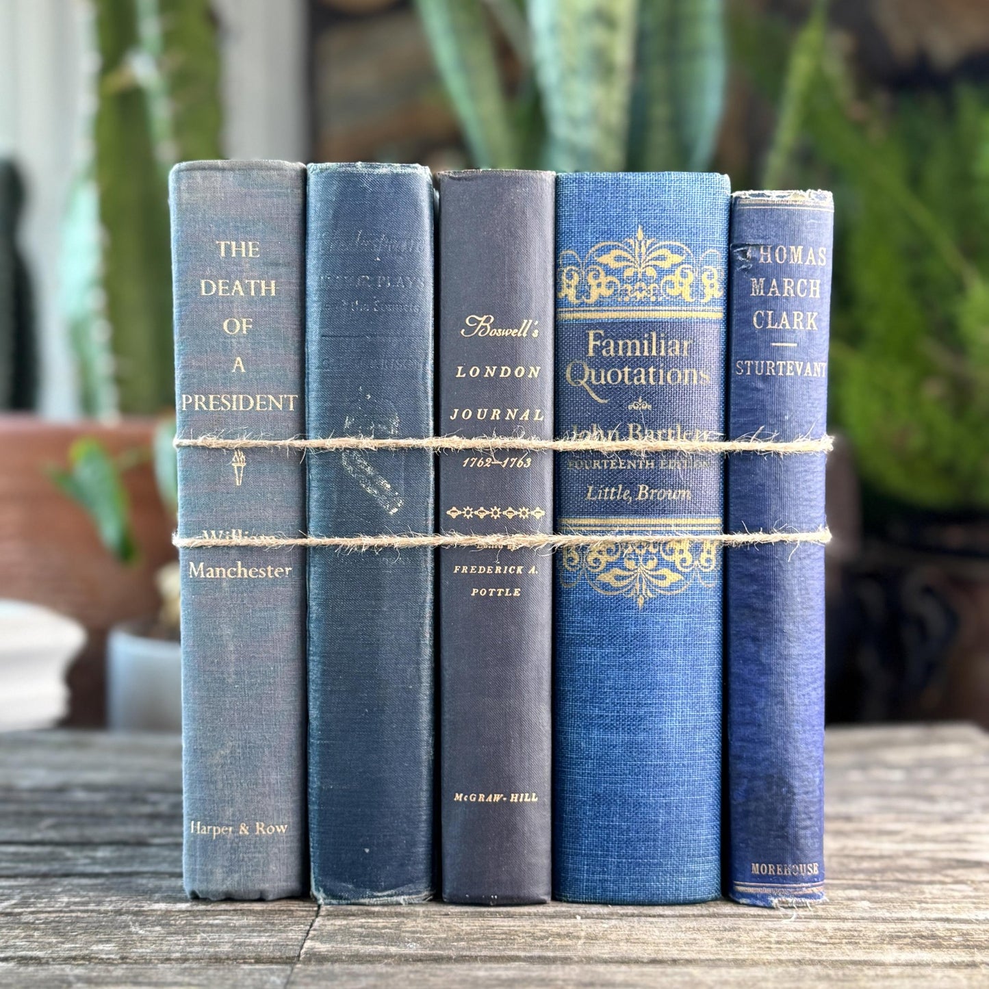 Navy and Indigo Blue Books for Shelf Styling - Pretty Old Books