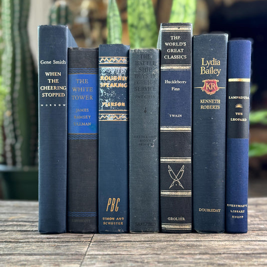 Navy Blue and Black Vintage Book Bundle For Shelf Styling - Pretty Old Books