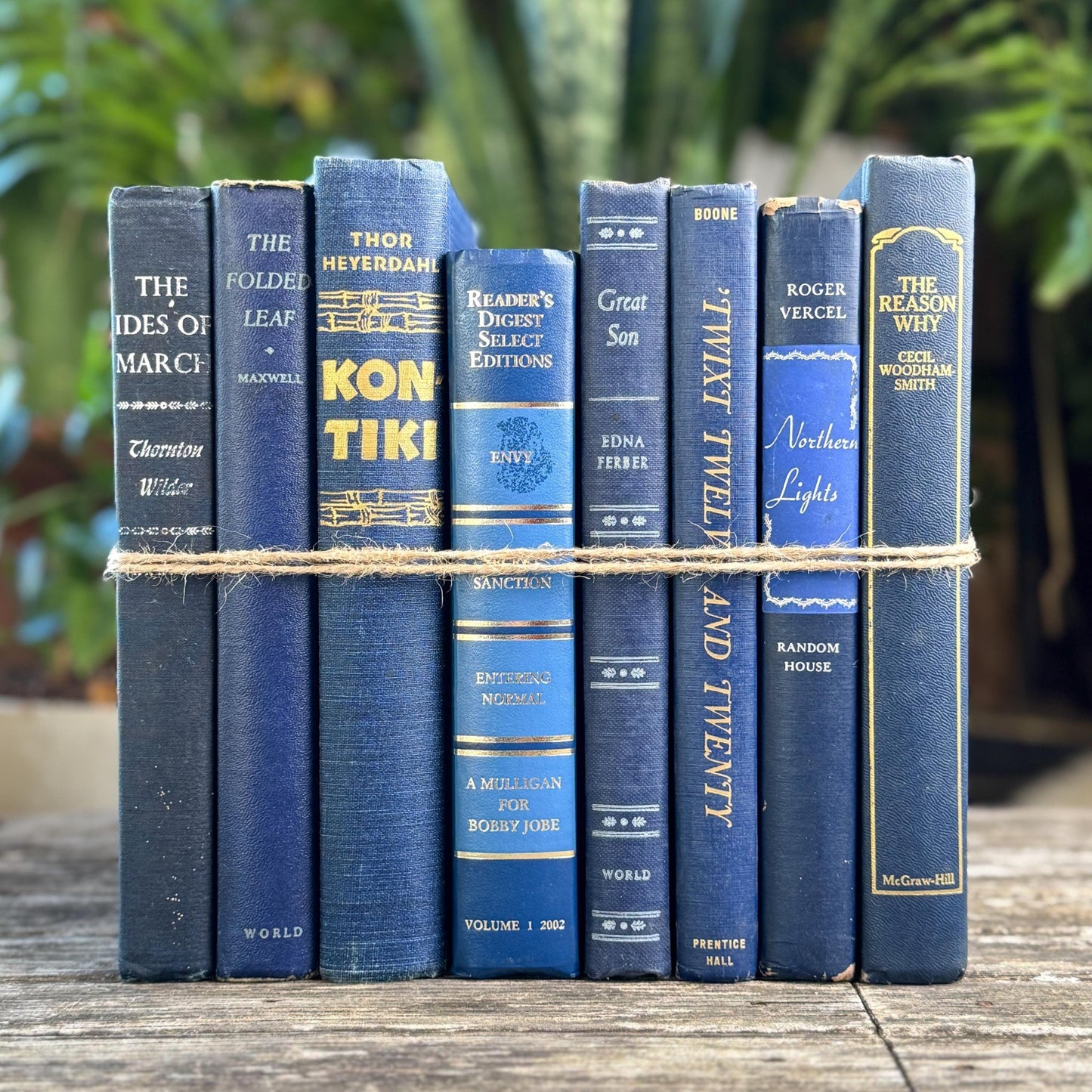 Navy Indigo Blue and Gold Vintage Book Set for Decor, Bookshelf Styling Bundle - Pretty Old Books