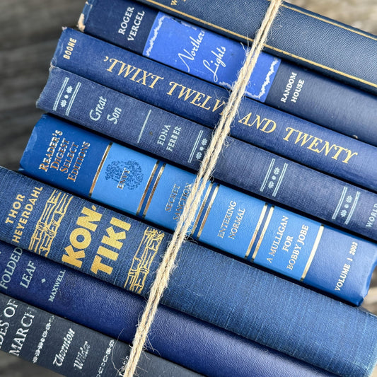 Navy Indigo Blue and Gold Vintage Book Set for Decor, Bookshelf Styling Bundle - Pretty Old Books