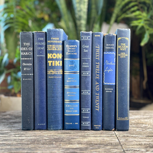 Navy Indigo Blue and Gold Vintage Book Set for Decor, Bookshelf Styling Bundle - Pretty Old Books