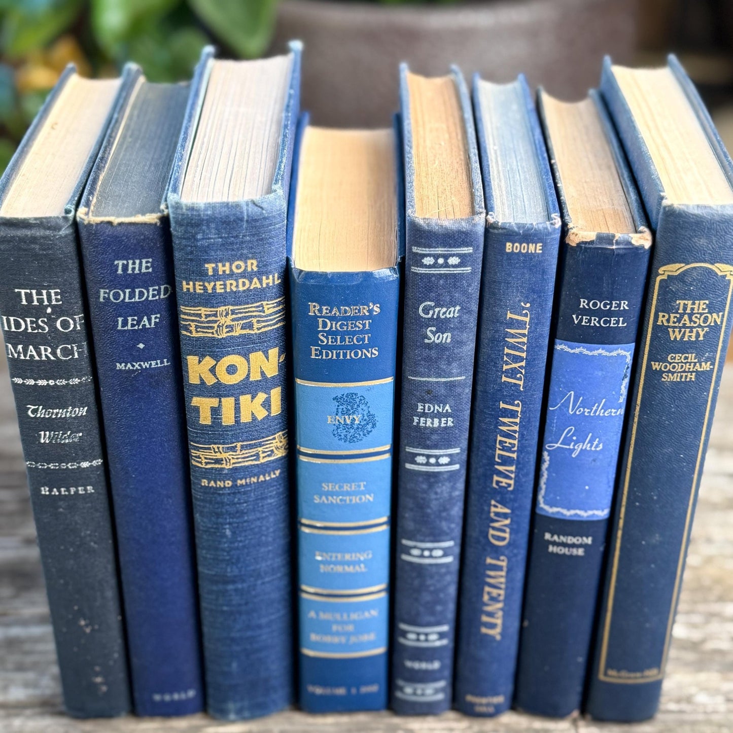 Navy Indigo Blue and Gold Vintage Book Set for Decor, Bookshelf Styling Bundle - Pretty Old Books
