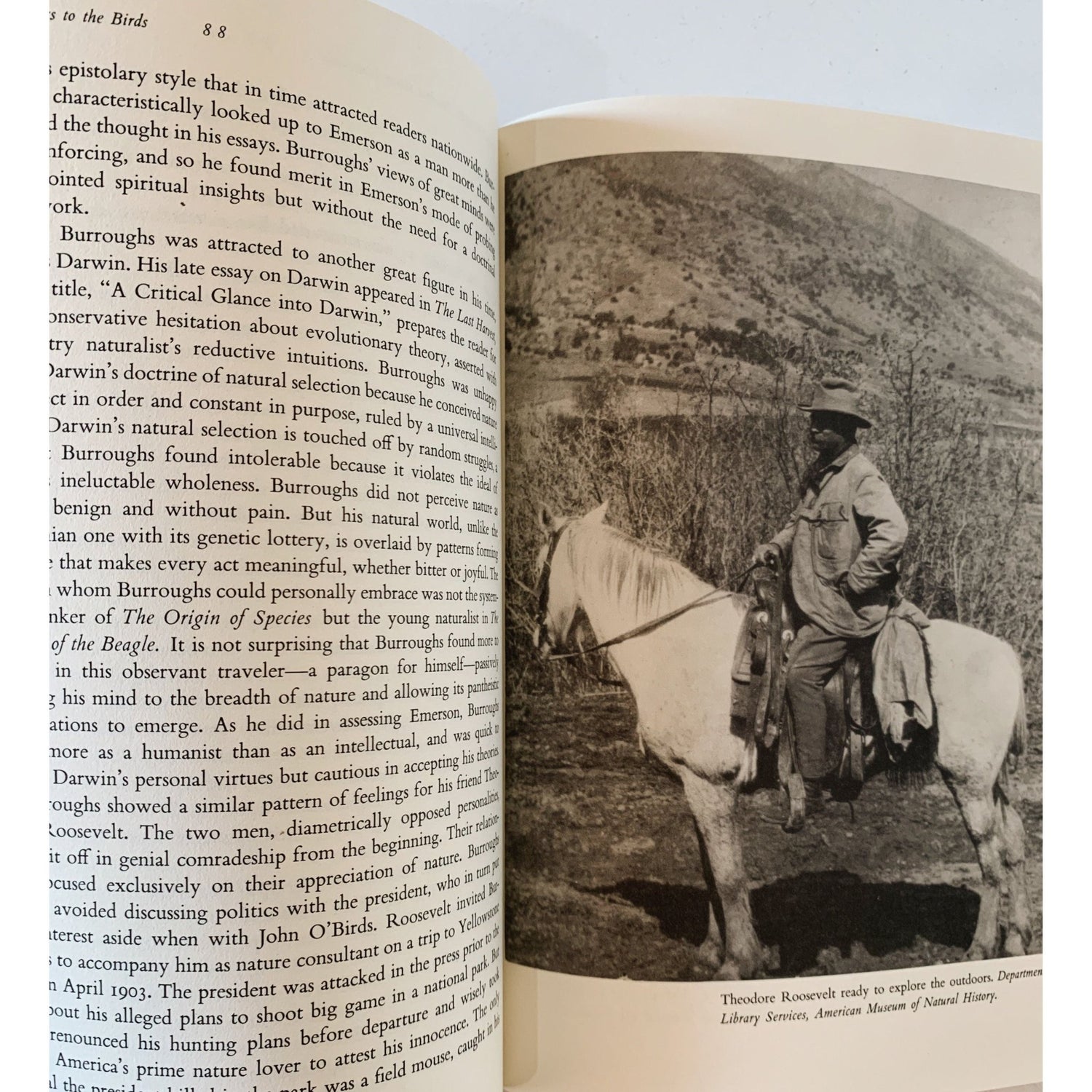 Neighbors to the Birds: A History of Birdwatchng in America, Hardcover 1988 - Pretty Old Books