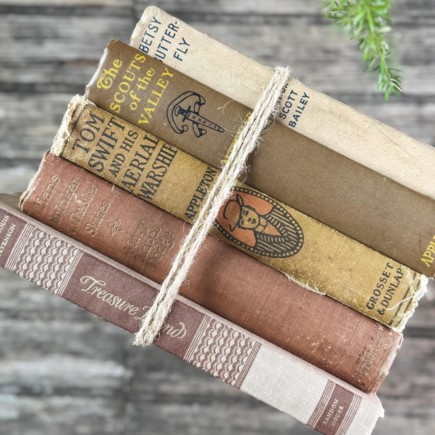 Decorative Children's Book Sets
