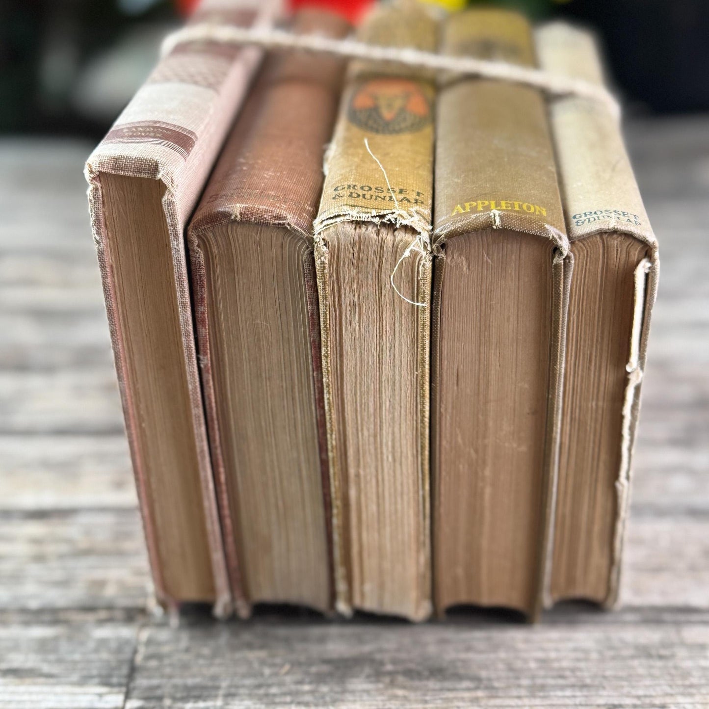 Neutral Brown Mauve Tan Children's Vintage Book Set For Shelf Styling - Pretty Old Books