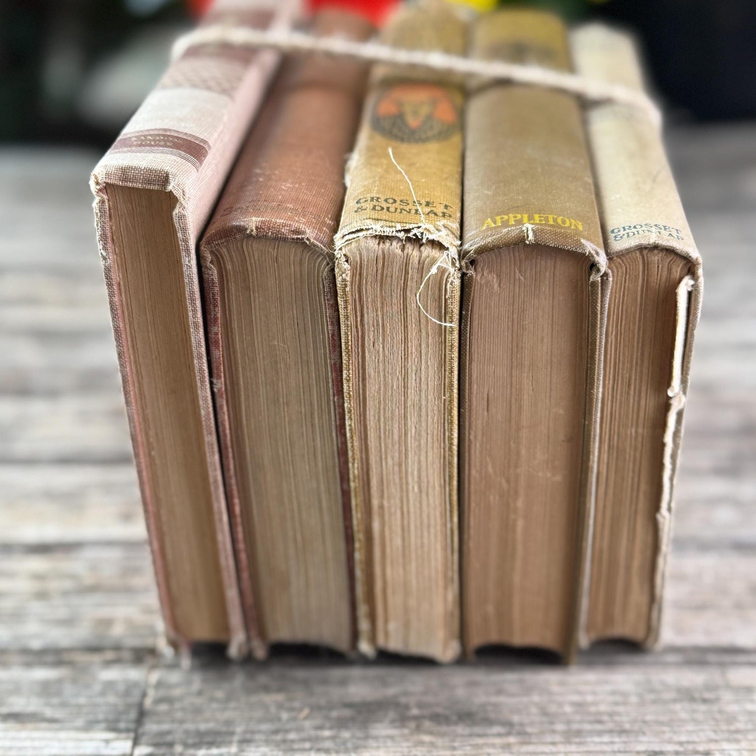 Neutral Brown Mauve Tan Children's Vintage Book Set For Shelf Styling - Pretty Old Books
