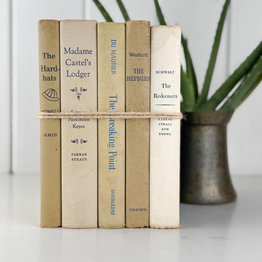 Neutral Shabby Vintage Books Bundle, Faded Blue and Beige Distressed Books for Shelf Styling - Pretty Old Books