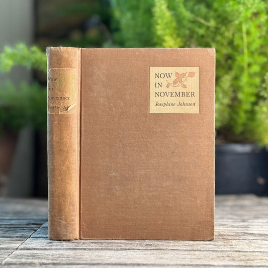 Now in November, Josephine Johnson, 1934 - Pretty Old Books