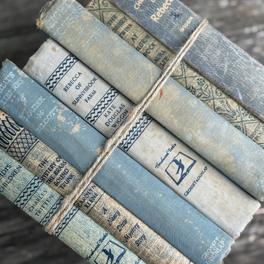 Old Blue Kids Books for Shelf Styling and Decor - Pretty Old Books
