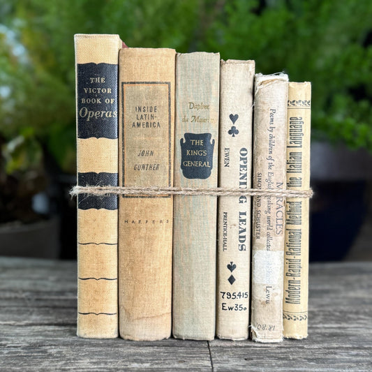 Old Neutral Beige and Black Book Bundle for Cozy Shelf Styling - Pretty Old Books
